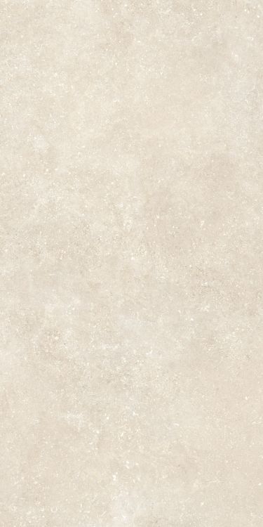 Untamed Wander Warm 24 x 48